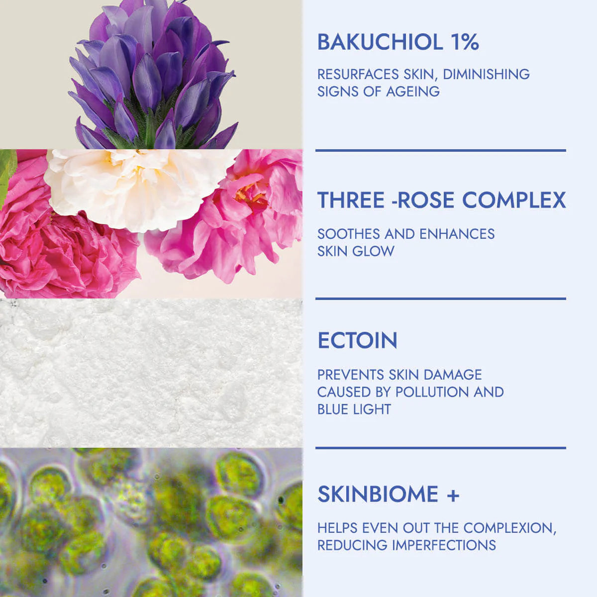 Rose Hydrobiome Bakuchiol Barrier Cream