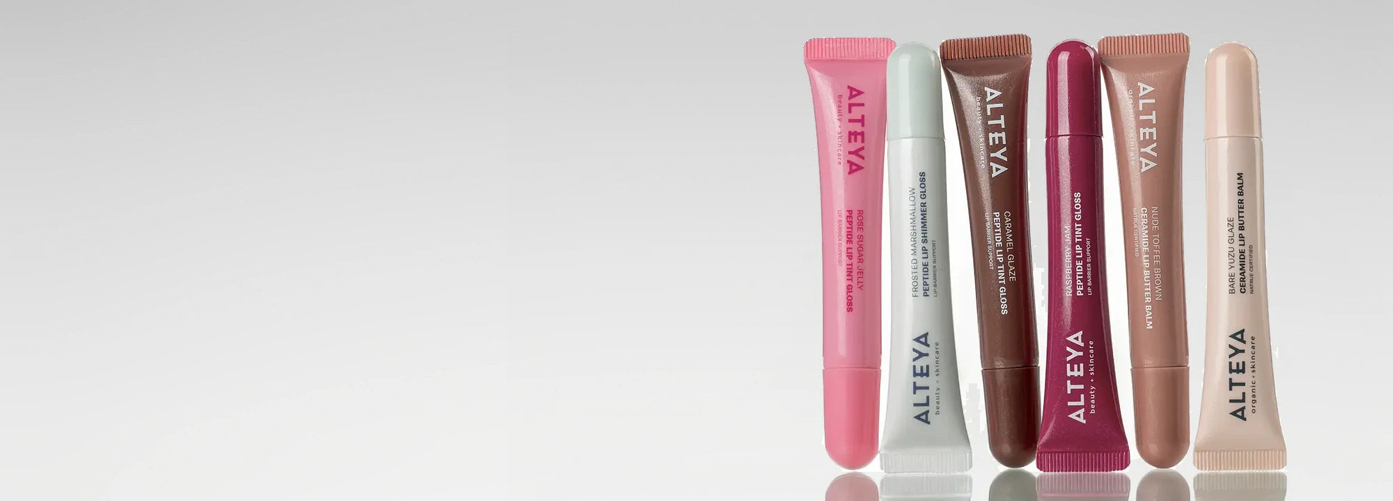 <p>New Lip Glosses</p>