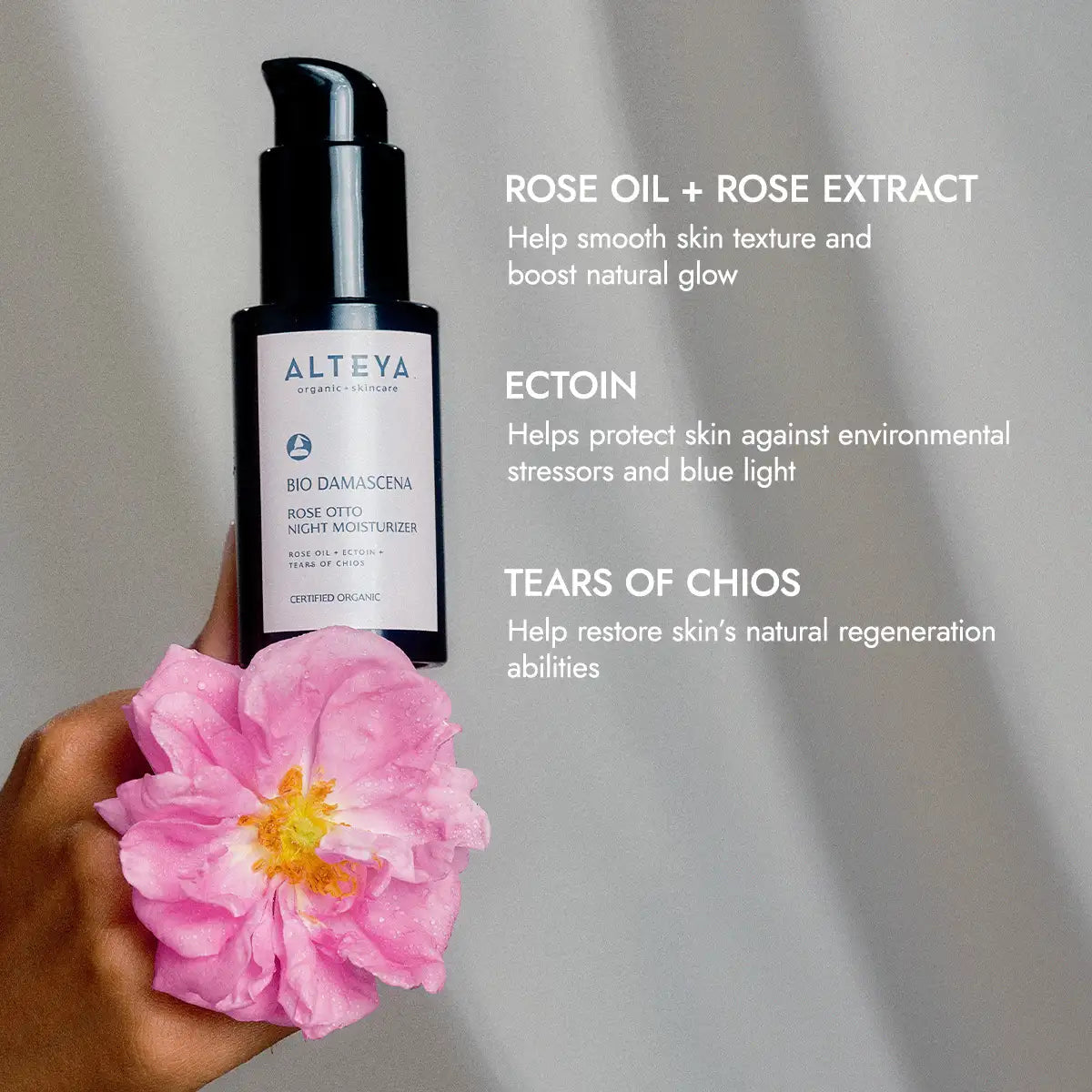 Bio Damascena Organic Rose Otto Night Moisturizer