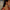 STIL mineralinis kremas nuo saulės SPF 30